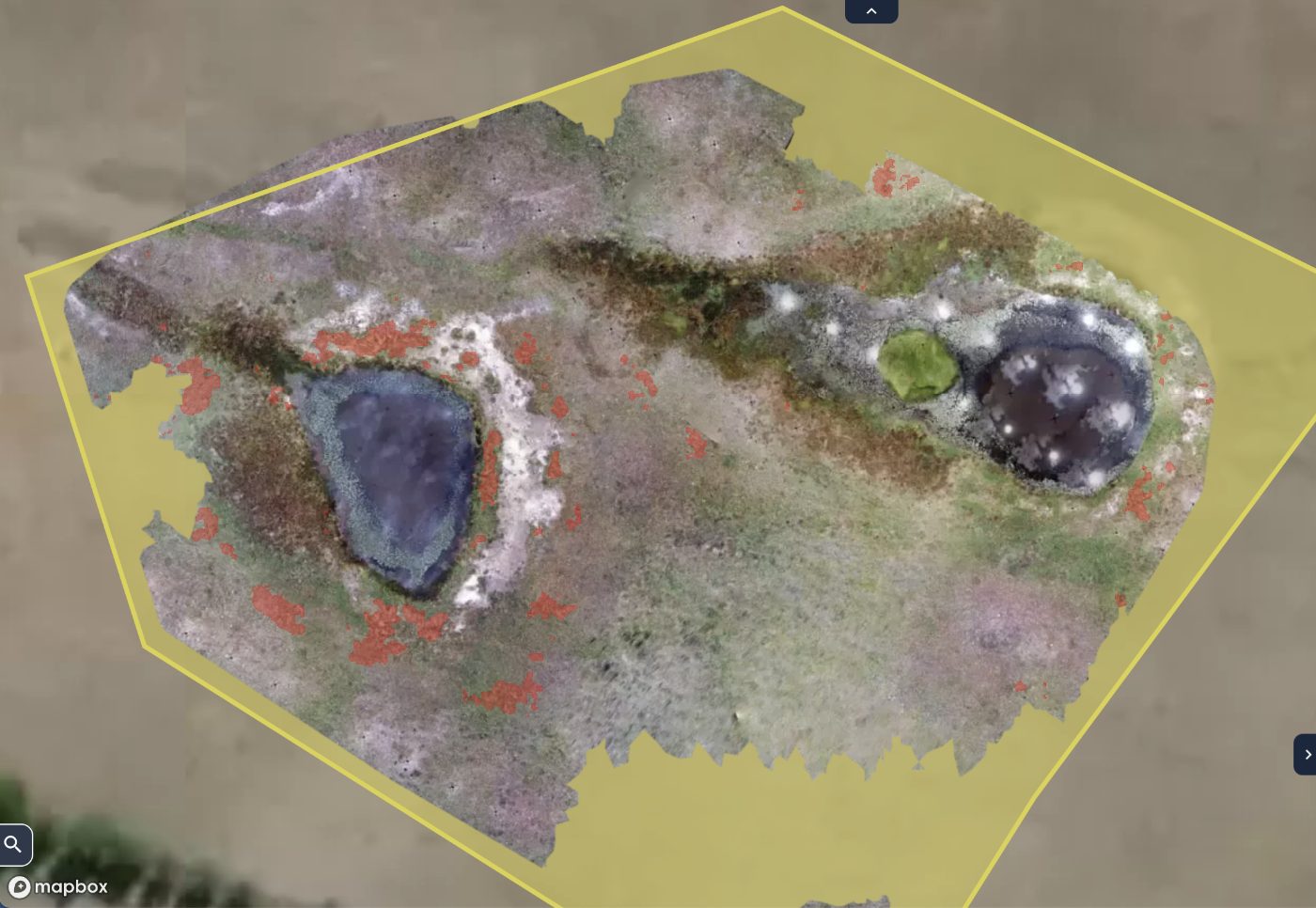 Site boundary traced across the full survey extent