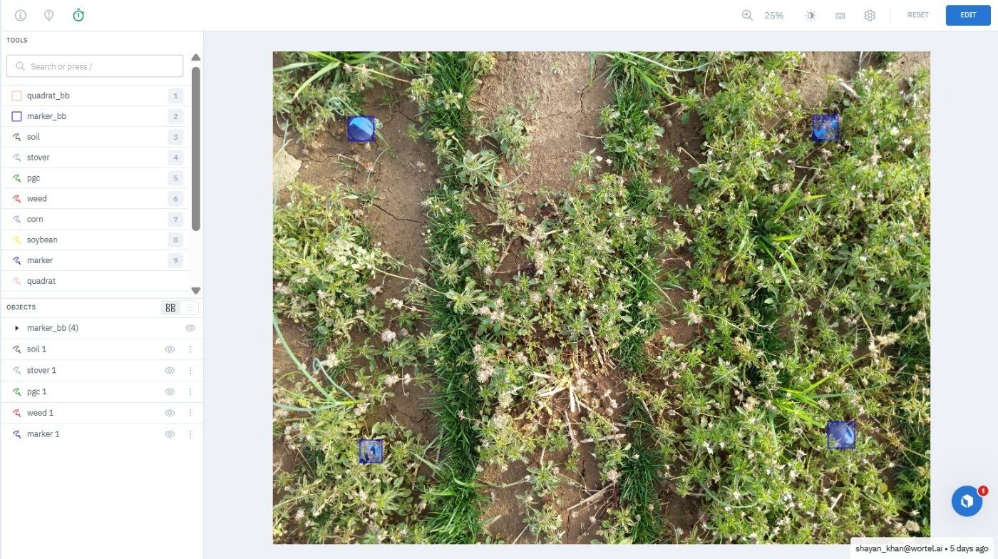 Dense canopy inside the frame traced class by class — source