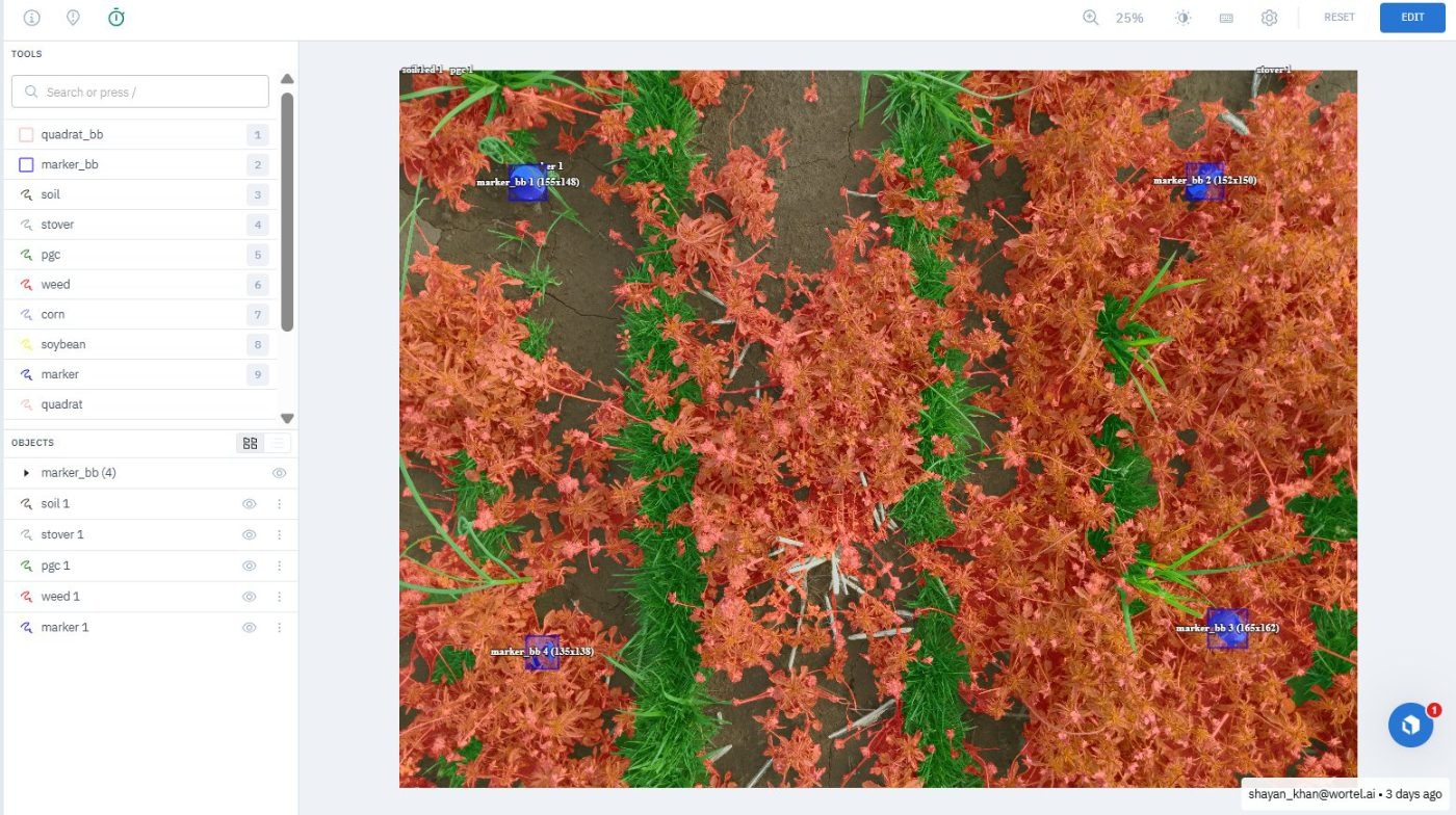 Dense canopy inside the frame traced class by class — annotated