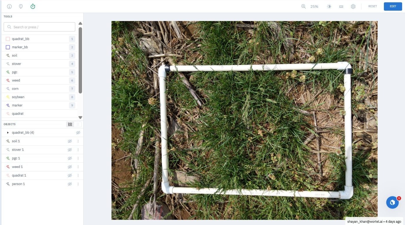 Quadrat frame located before cover is measured — source