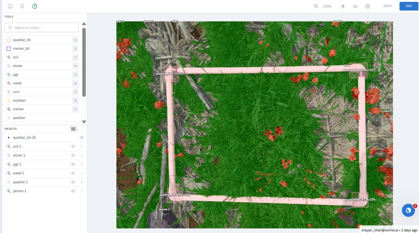 Quadrat frame located before cover is measured — annotated