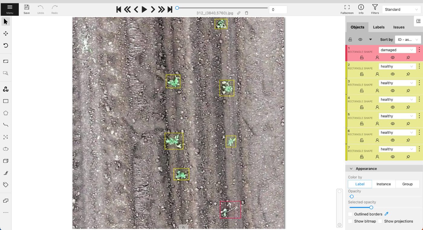 Annotation workspace at working zoom