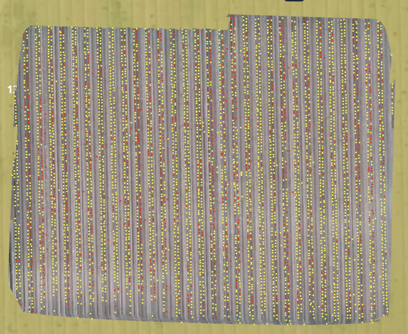 Full-field orthomosaic with every row annotated